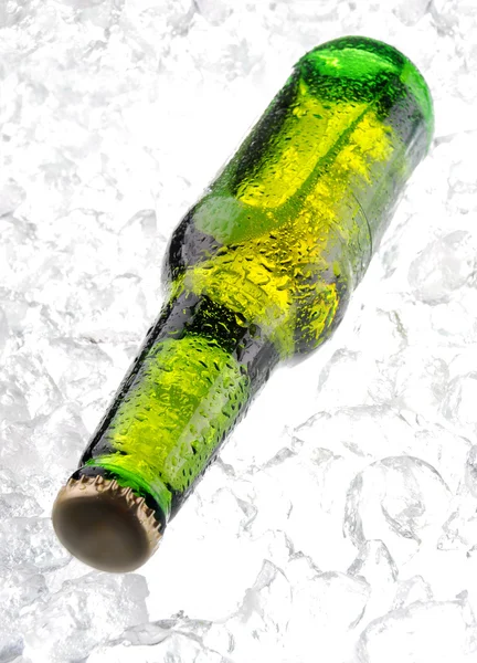 Bir bira buz üstünde — Stok fotoğraf