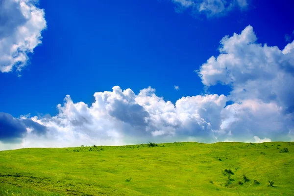 Зеленые луга и облака — стоковое фото