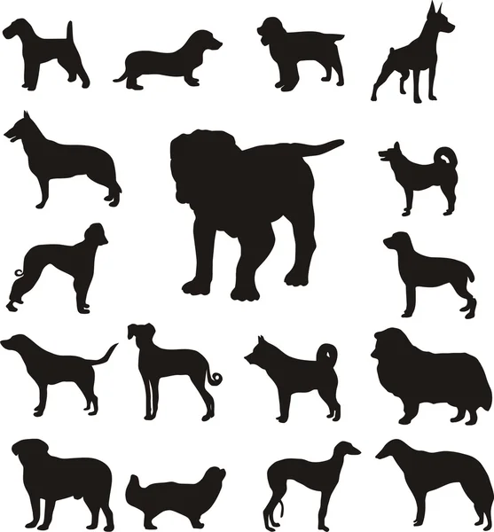 Silhuetas de raças diferentes de cães — Vetor de Stock