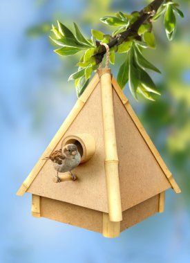 Birdie and birdhouse clipart