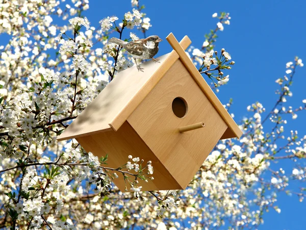 Kuş evini bahçesinde — Stok fotoğraf