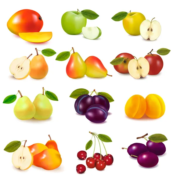 Skupina s různými druhy ovoce. vektor. — Stockový vektor