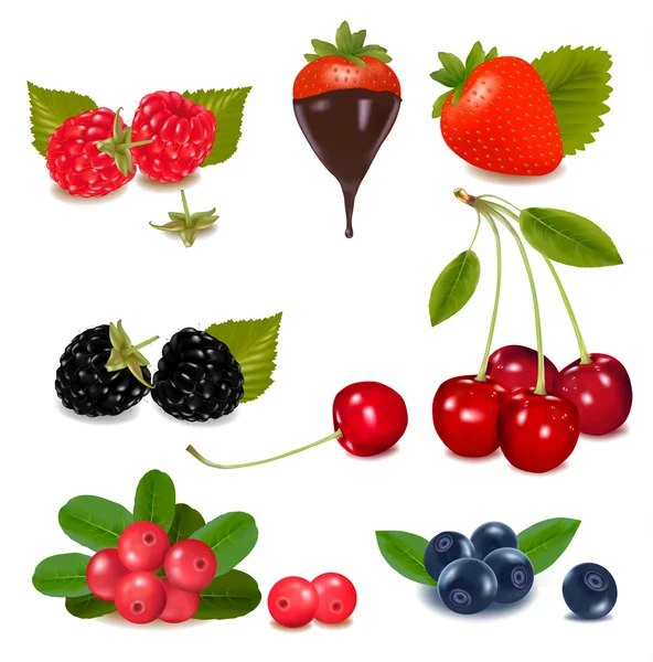 Skupina brusinky, borůvky, třešně, maliny, lesní jahody — Stockový vektor