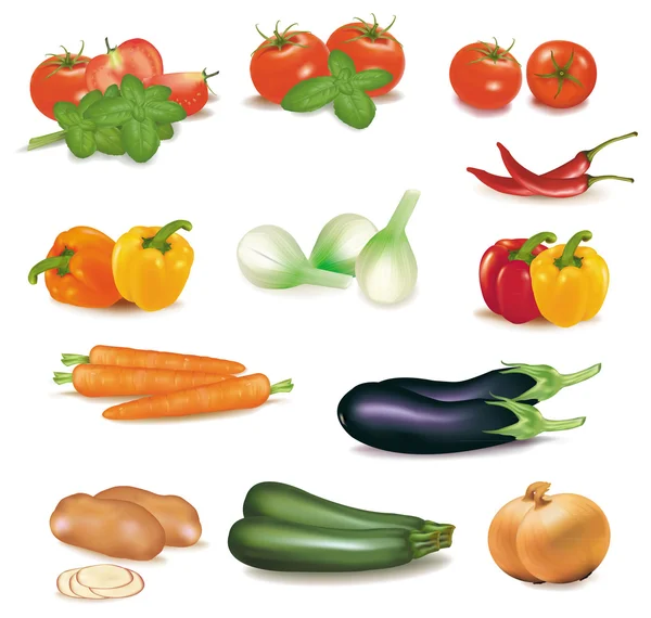 Le grand groupe coloré de légumes. Vecteur photo-réaliste . — Image vectorielle
