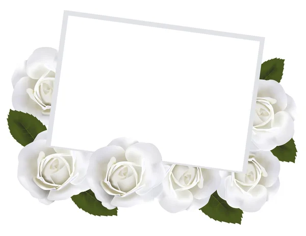 Weiße Rosen und weiße Papierkarte. Vektor. — Stockvektor