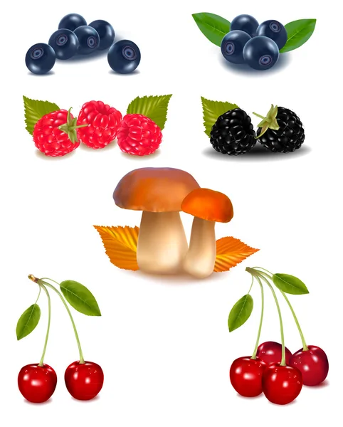 Photo-realistic vector illustration. Group of berries. — Stock Vector