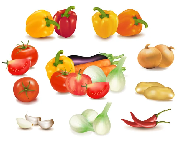 De grote kleurrijke groep van groenten. fotorealistische vector. — Stockvector