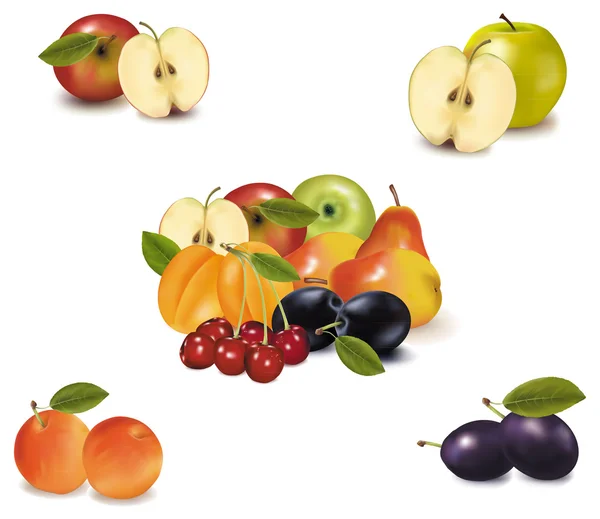 Ilustración vectorial fotorealista. Gran grupo de frutas diferentes . — Vector de stock