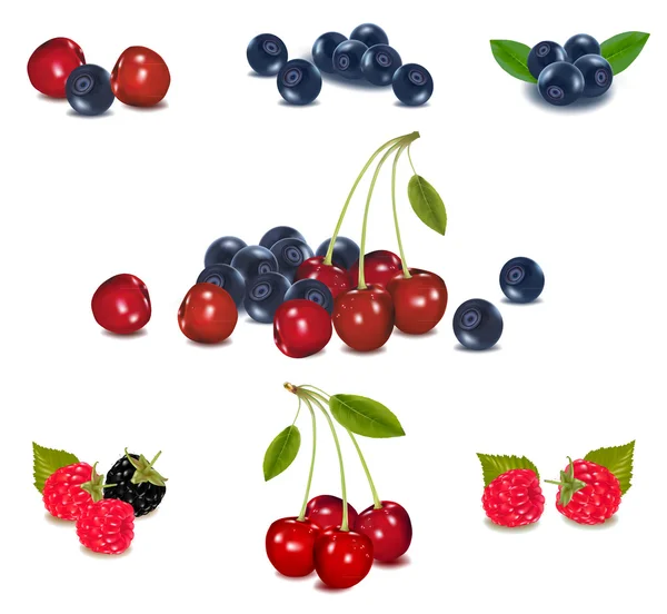 Photo-realistic vector illustration. Group of berries. — Stock Vector