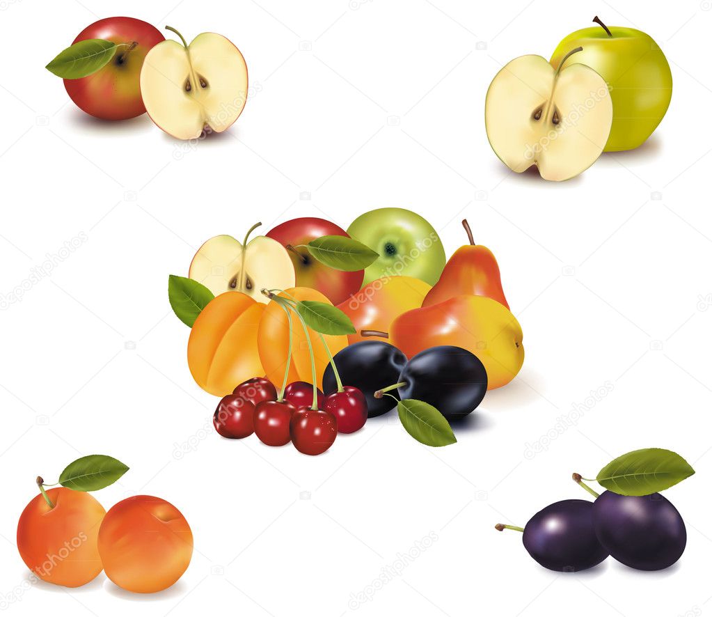 Photo-realistic vector illustration. Big group of different fruit.