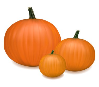 Group of fresh pumpkins. Photo-realistic vector illustration. clipart