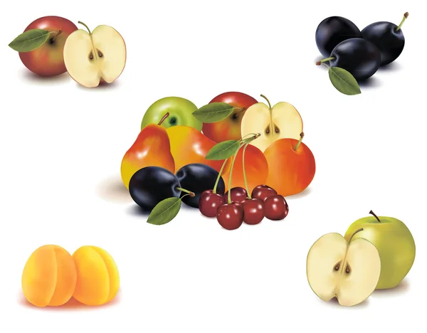 Photo-realistic vector illustration. Big group of different fruit. — Stock Vector