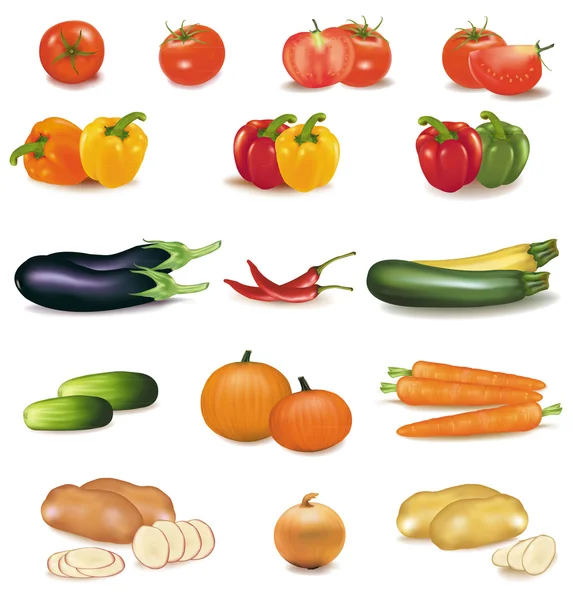 Velké barevné skupiny zeleniny. fotorealistické vektor. — Stockový vektor