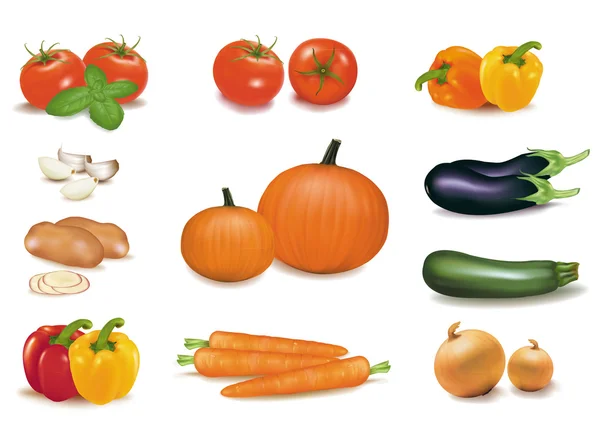 El gran grupo colorido de verduras. Foto-realista vector . — Archivo Imágenes Vectoriales