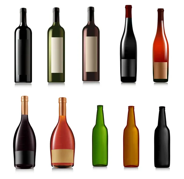 Conjunto de botellas diferentes. Ilustración vectorial . — Vector de stock