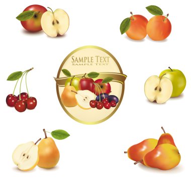 Gold label with different sorts of exotic fruit. Vector. clipart