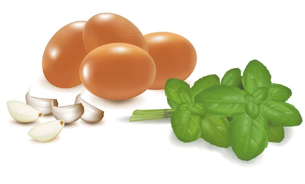 Τέσσερα αυγά με βασιλικό και σκόρδο διάνυσμα. — Διανυσματικό Αρχείο