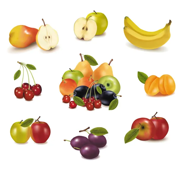 Grupo con diferentes tipos de frutas. Vector . — Archivo Imágenes Vectoriales