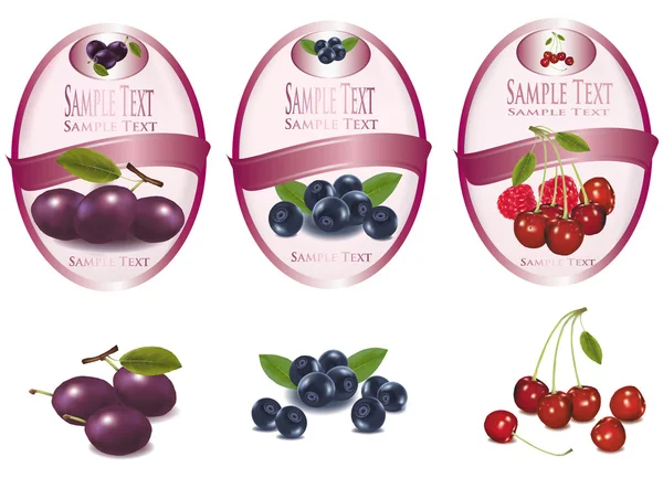 Drie roze etiketten met verschillende soorten fruit. vector. — Stockvector