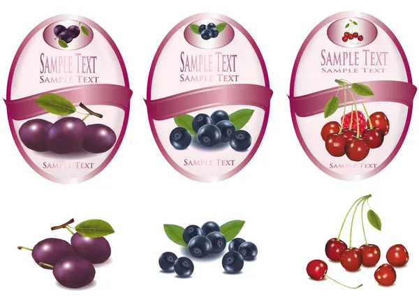 Tre etichette rosa con diversi tipi di frutta. Vettore . — Vettoriale Stock