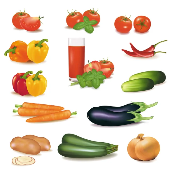 Il grande gruppo colorato di verdure. Vettore foto-realistico . — Vettoriale Stock