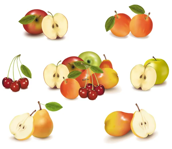 ภาพตัวอย่างเวกเตอร์สมจริง กลุ่มใหญ่ของผลไม้ที่แตกต่างกัน . — ภาพเวกเตอร์สต็อก