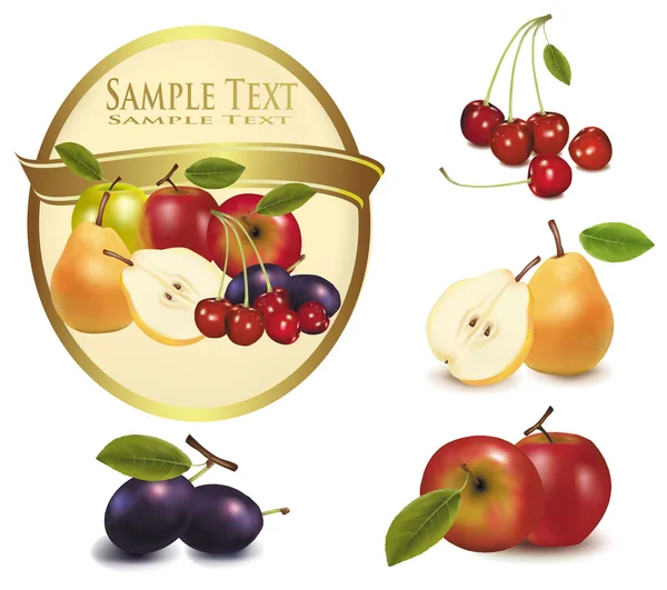 Gul etikett med olika sorters frukt. vektor. — Stock vektor