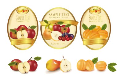 Gold labels with different sorts of fruit. Vector. clipart