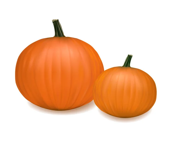 Two fresh pumpkins. Photo-realistic vector. — Stock Vector