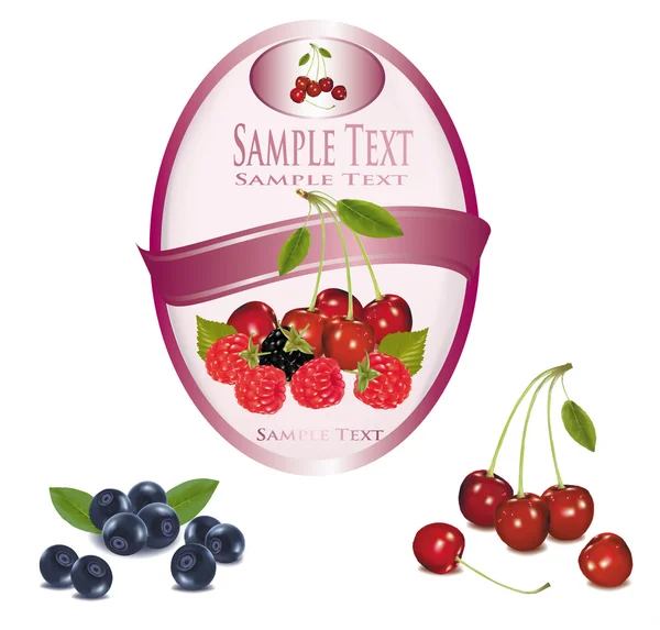 Étiquette rose avec différentes sortes de fruits. Vecteur . — Image vectorielle