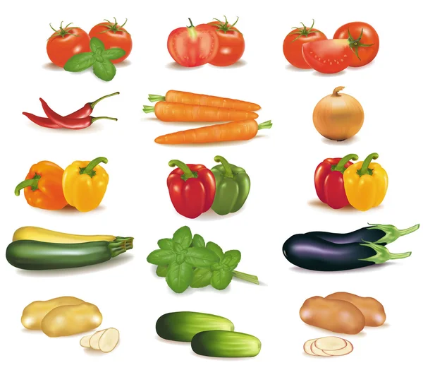 Il grande gruppo colorato di verdure. Vettore foto-realistico — Vettoriale Stock