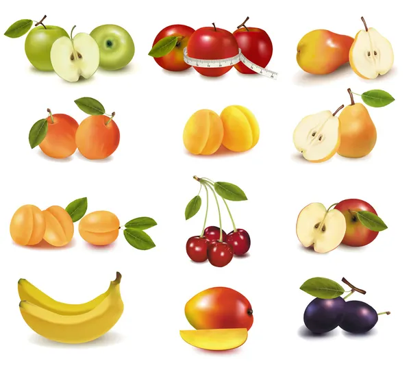 Fotorealistische Vektorillustration. große Gruppe von verschiedenen Früchten — Stockvektor
