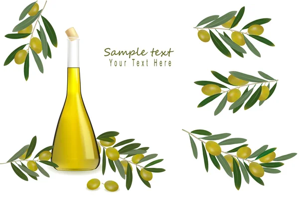 Fles van olijfolie met olijven en specerijen. vector. — Stockvector