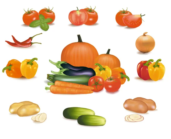 El gran grupo colorido de verduras. Foto-realista vector — Vector de stock