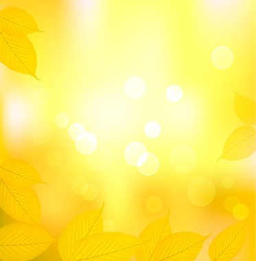 Autumn background with yellow leaves. Back to school. Vector illustration clipart