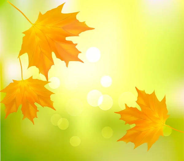 Fundo de outono com folhas amarelas. De volta à escola. Ilustração vetorial . — Vetor de Stock