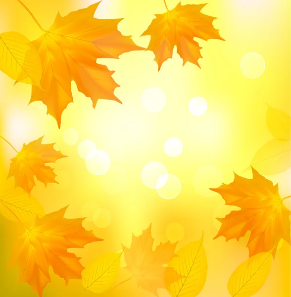 Hojas de otoño fondo amarillo. regreso a la escuela. ilustración vectorial. — Stockvector