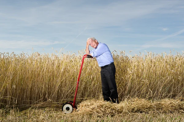 Stock image Businessman and his Lawn mower