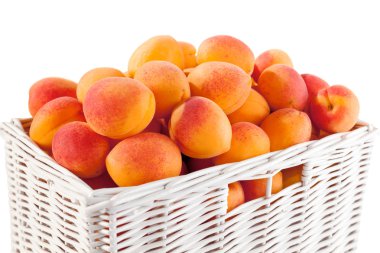 Basket of apricots clipart