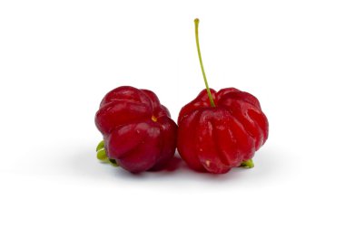 Surinam Cherry clipart