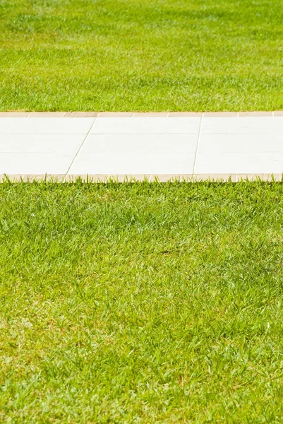 stock image Sidewalk in the grass