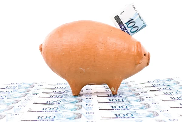 돼지 동전 은행 — 스톡 사진