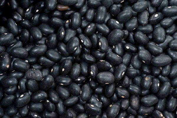 Background - Beans — Stock Photo, Image