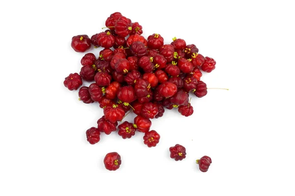 Surinam cherry — Stockfoto