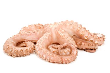 Octopus clipart