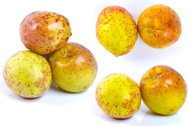 Mangaba