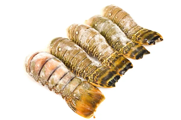 Lobster tail — Stock Photo, Image