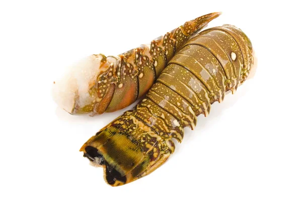 stock image Lobster tail