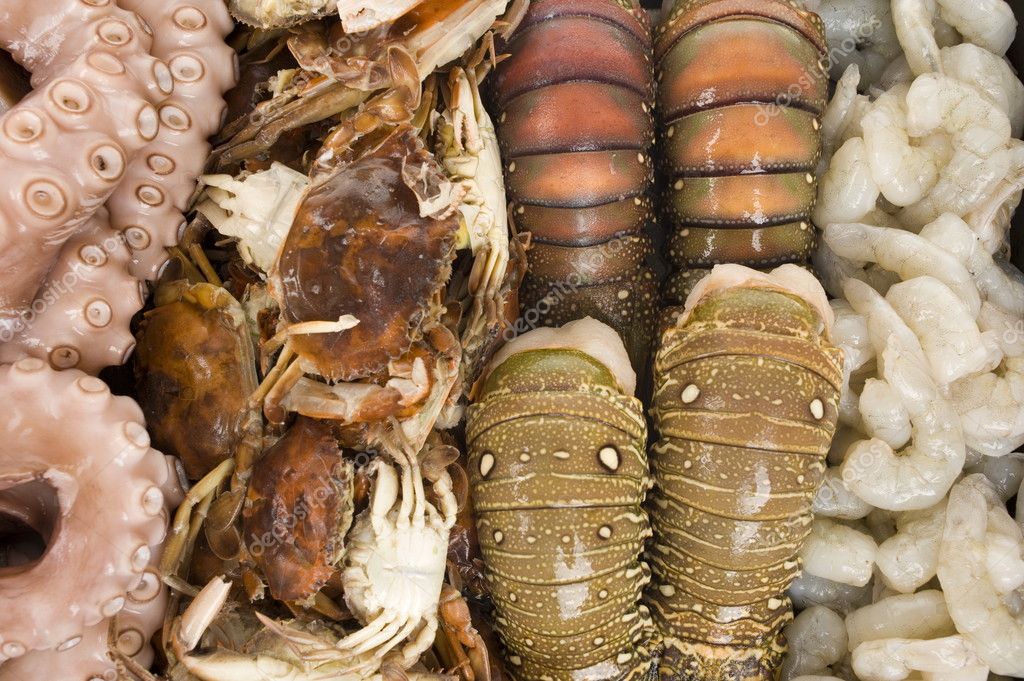 Sea Fruits — Stock Photo © vtupinamba 5830512