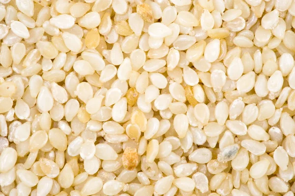 Sesame Seeds — Stock Photo, Image